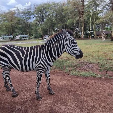 Africa Safari Lake Manyara Located Inside A Wildlife Park Hotel Mto wa Mbu Exterior photo