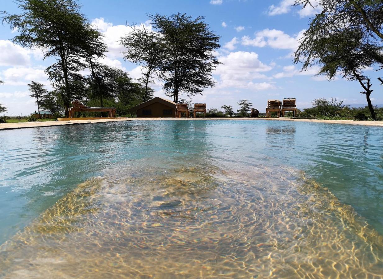 Africa Safari Lake Manyara Located Inside A Wildlife Park Hotel Mto wa Mbu Exterior photo