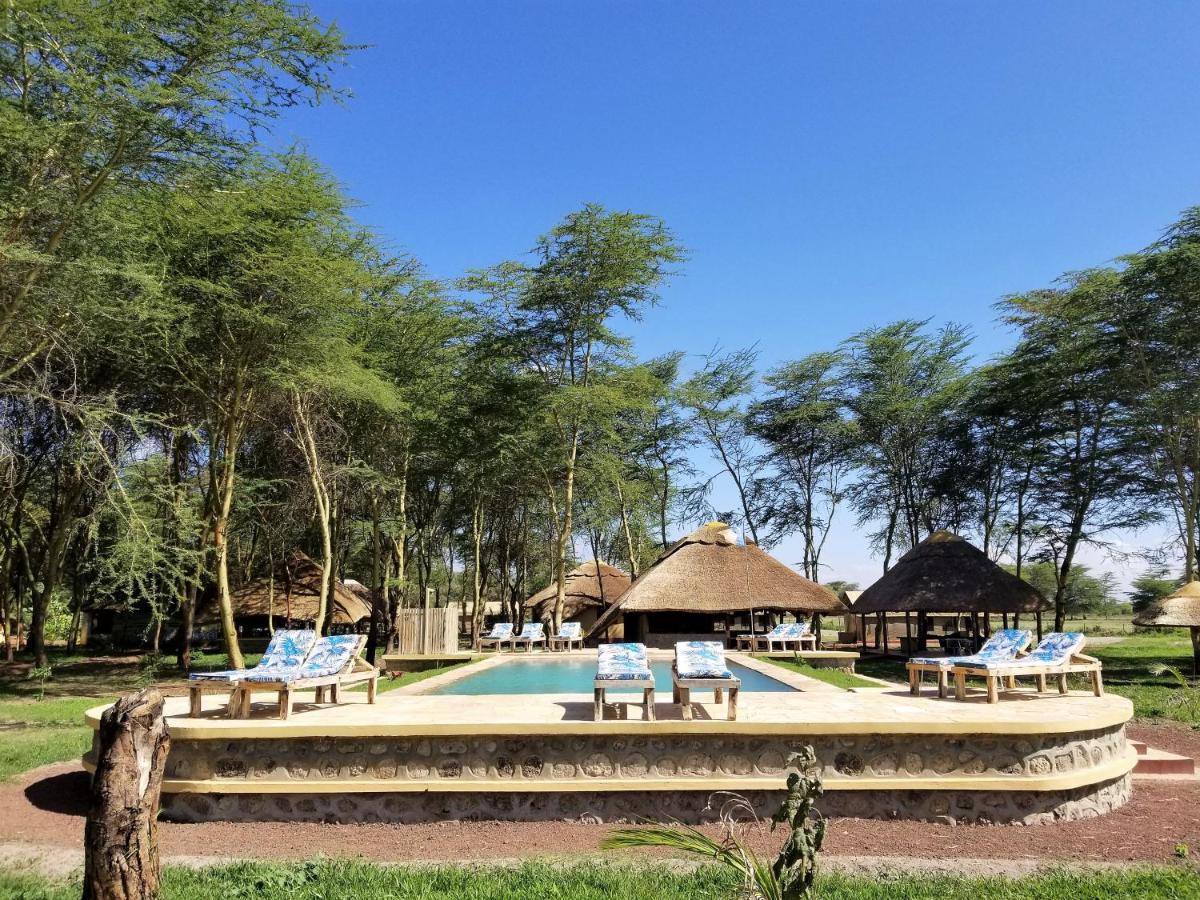 Africa Safari Lake Manyara Located Inside A Wildlife Park Hotel Mto wa Mbu Exterior photo