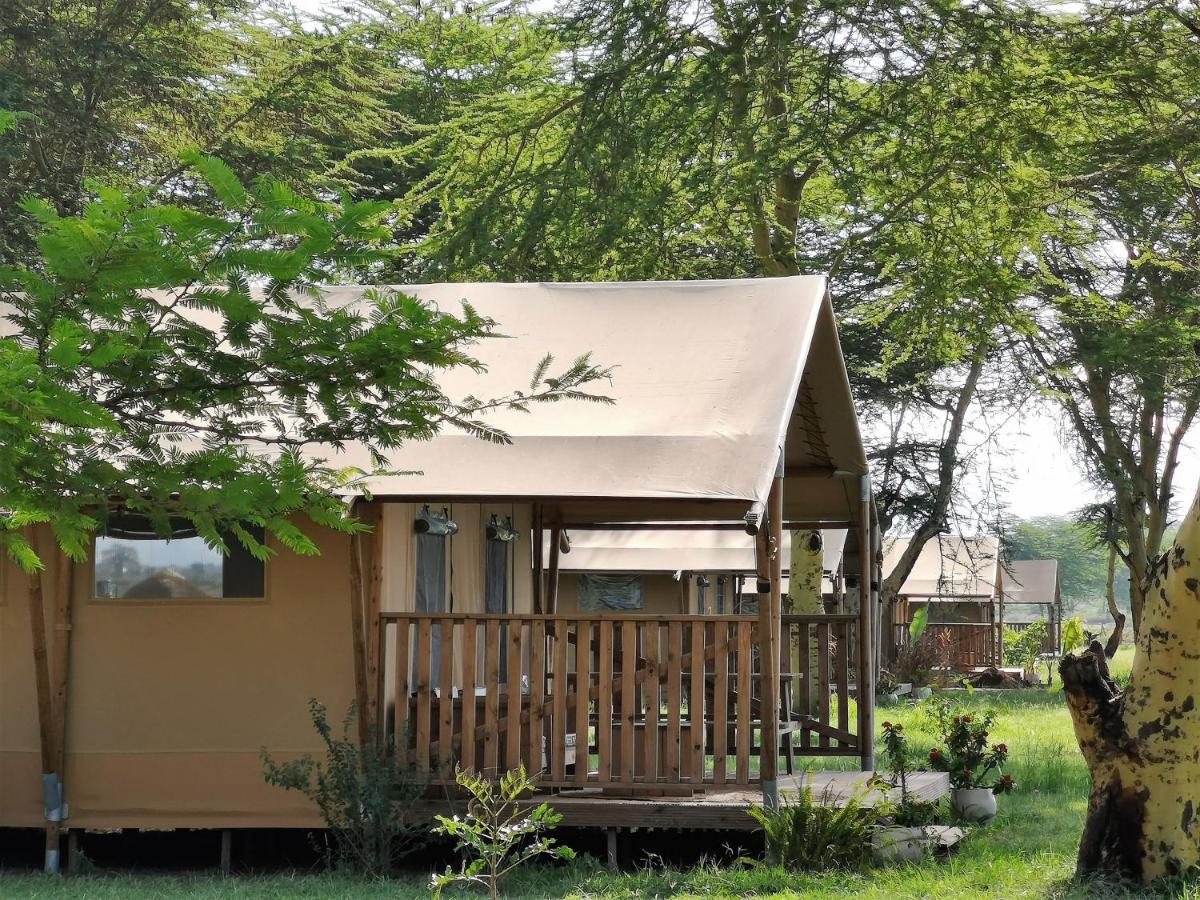 Africa Safari Lake Manyara Located Inside A Wildlife Park Hotel Mto wa Mbu Exterior photo