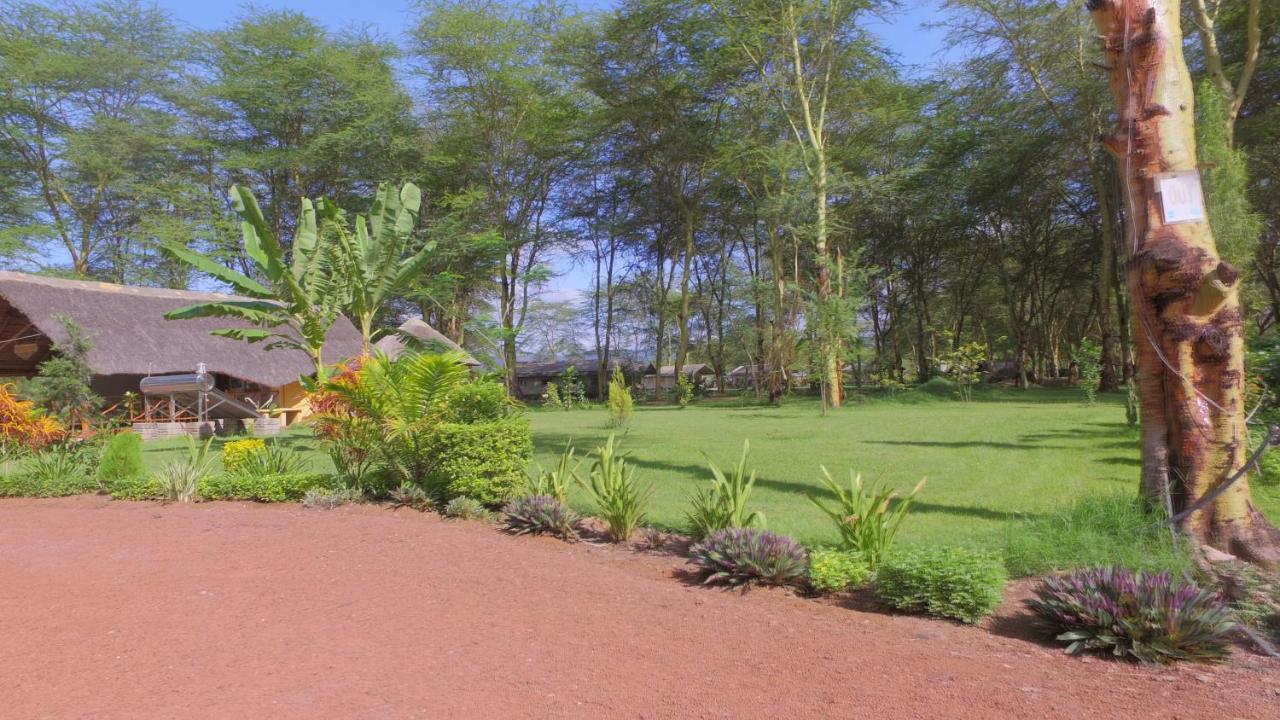 Africa Safari Lake Manyara Located Inside A Wildlife Park Hotel Mto wa Mbu Exterior photo