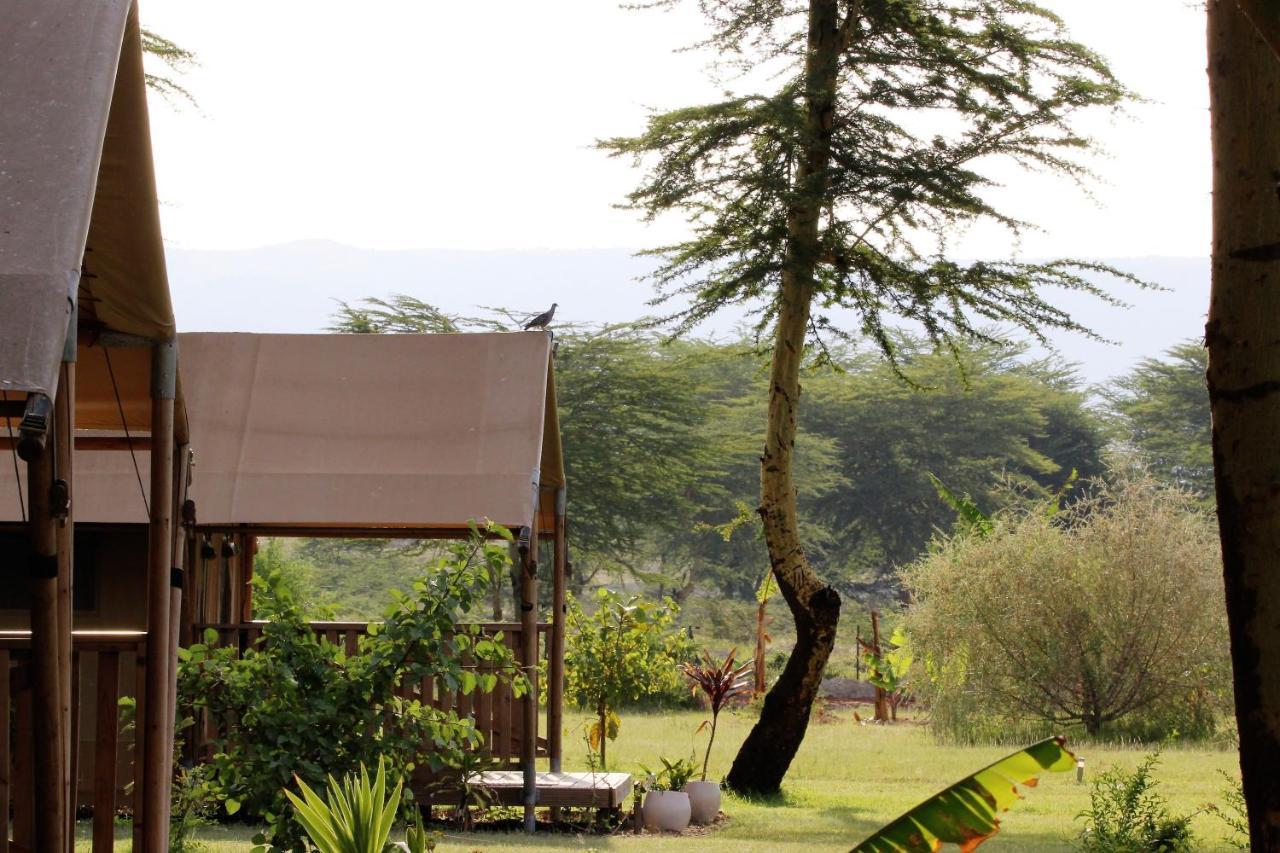 Africa Safari Lake Manyara Located Inside A Wildlife Park Hotel Mto wa Mbu Exterior photo