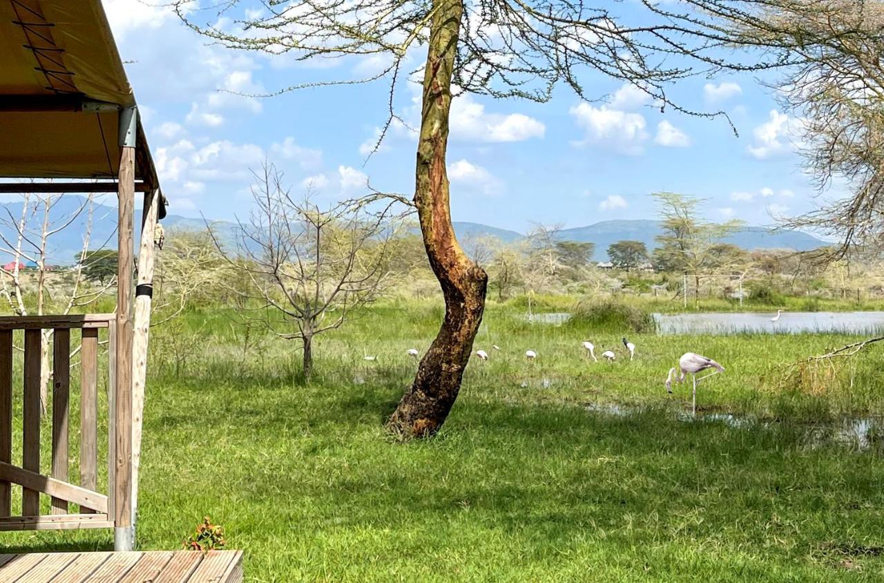 Africa Safari Lake Manyara Located Inside A Wildlife Park Hotel Mto wa Mbu Exterior photo