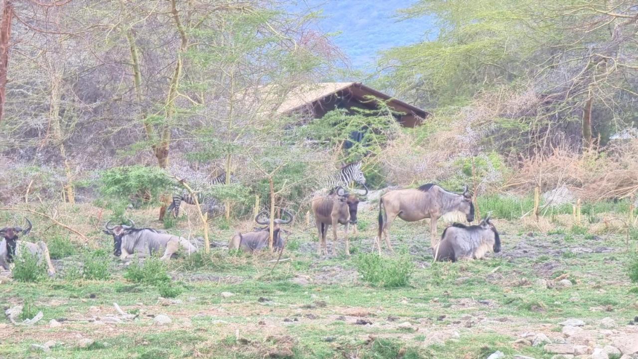 Africa Safari Lake Manyara Located Inside A Wildlife Park Hotel Mto wa Mbu Exterior photo