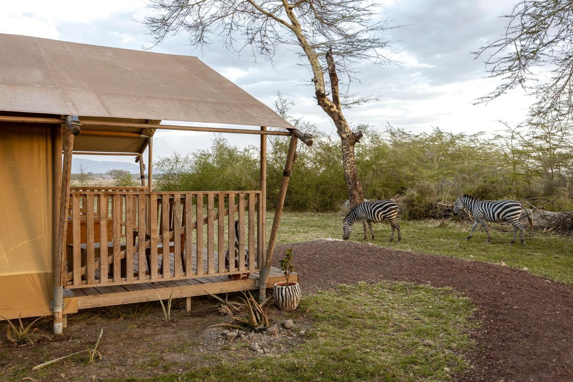 Africa Safari Lake Manyara Located Inside A Wildlife Park Hotel Mto wa Mbu Exterior photo